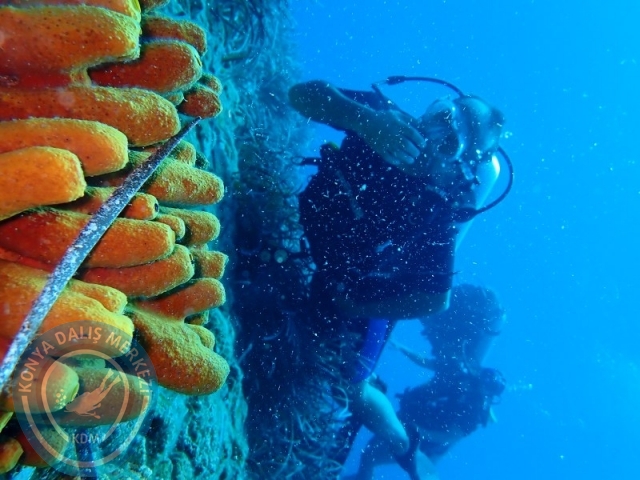 27-28 Eylül Bodrum