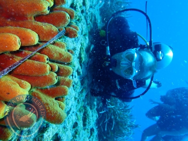 27-28 Eylül Bodrum
