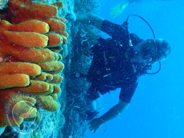27-28 Eylül Bodrum