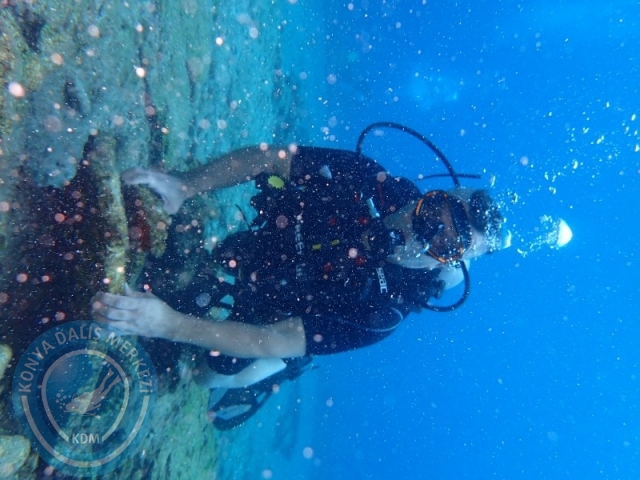 27-28 Eylül Bodrum