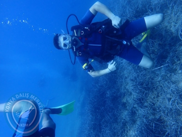 27-28 Eylül Bodrum