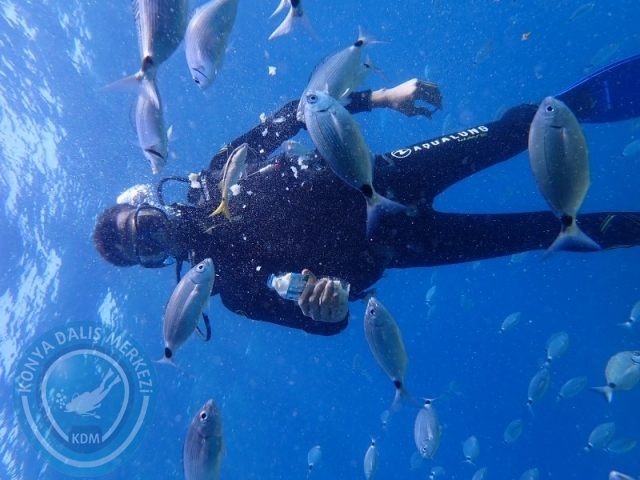 27-28 Eylül Bodrum