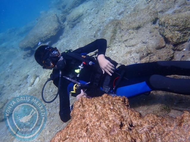 27-28 Eylül Bodrum