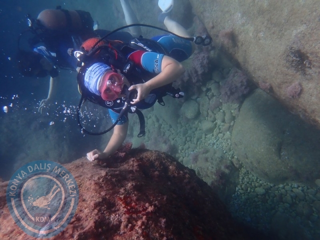 27-28 Haziran ALANYA
