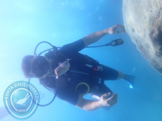27-28 Haziran ALANYA