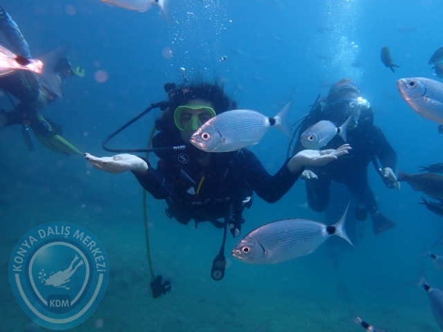 27-28 Haziran ALANYA