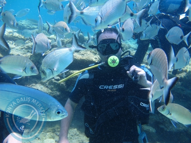 27-28 Haziran Bodrum