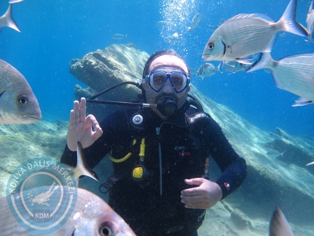 27-28 Haziran Bodrum