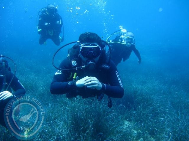 27-28 Haziran Bodrum