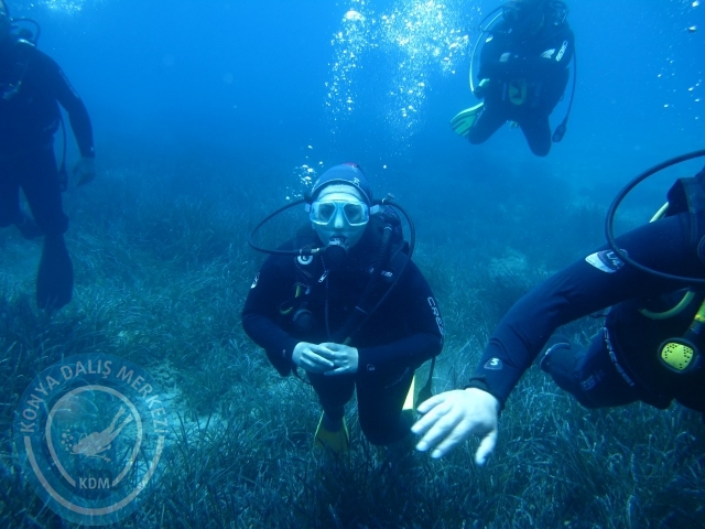 27-28 Haziran Bodrum