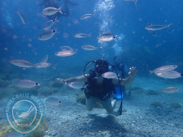 28-29 Haziran ALANYA