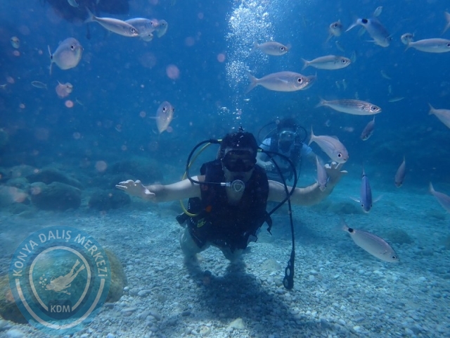 28-29 Haziran ALANYA