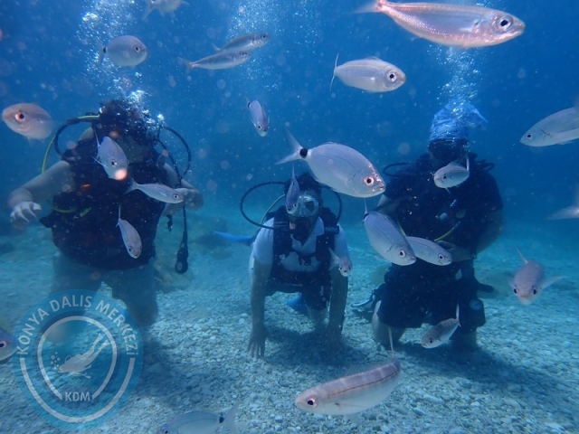 28-29 Haziran ALANYA