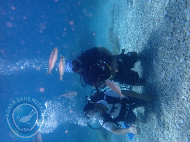 28-29 Haziran ALANYA