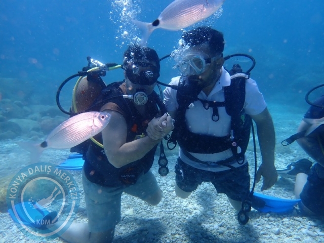 28-29 Haziran ALANYA