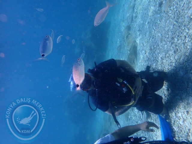 28-29 Haziran ALANYA
