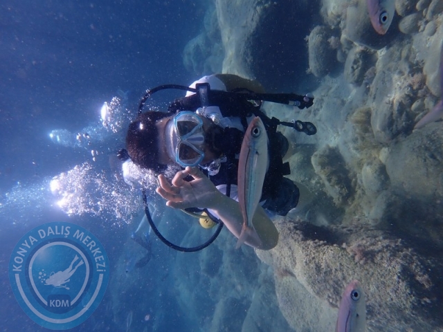 28-29 Haziran ALANYA