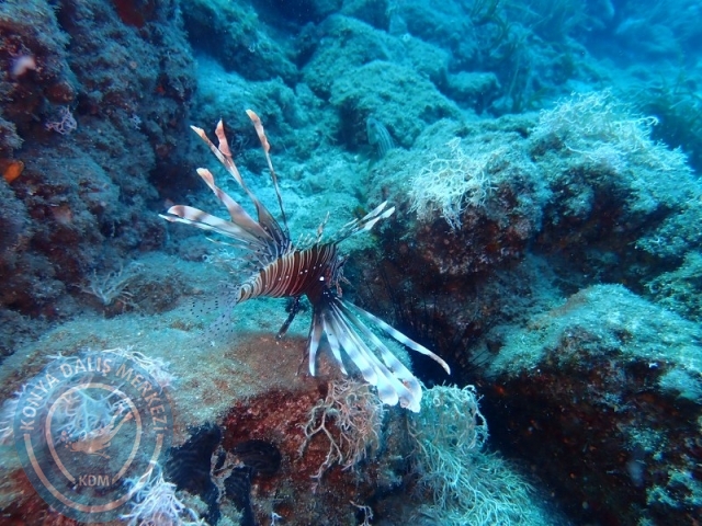 28-29 Haziran ALANYA