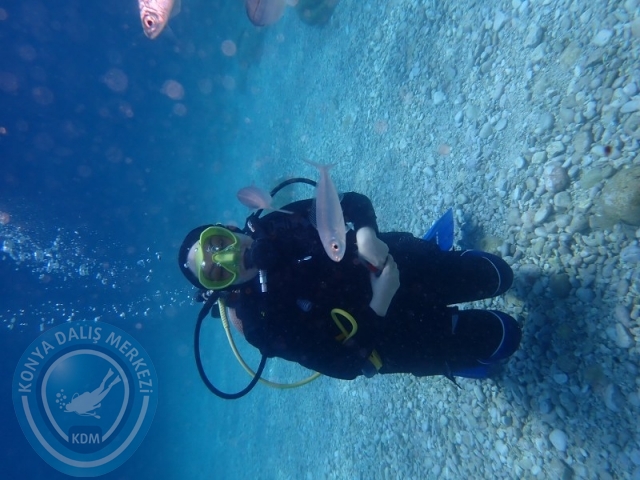 28-29 Haziran ALANYA