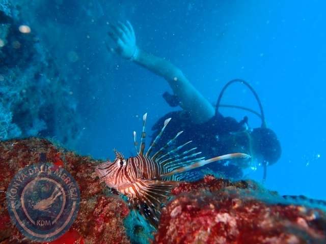 28-29 Haziran ALANYA