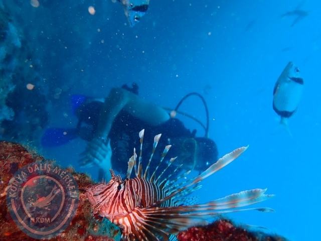 28-29 Haziran ALANYA