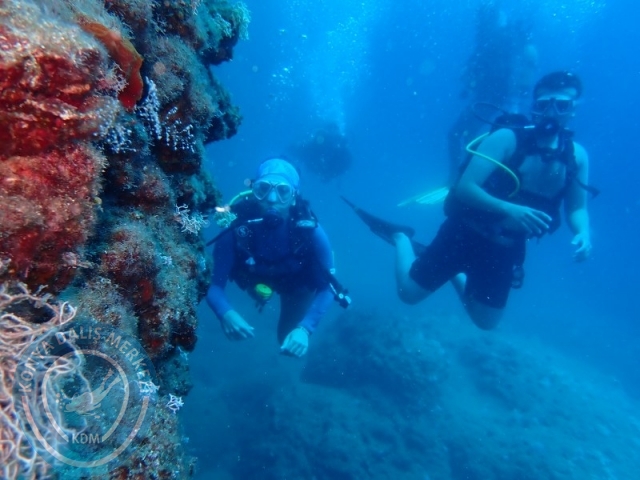 28-29 Haziran ALANYA