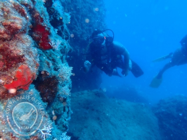 28-29 Haziran ALANYA