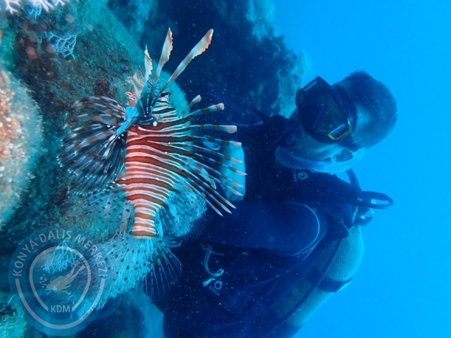 28-29 Haziran ALANYA