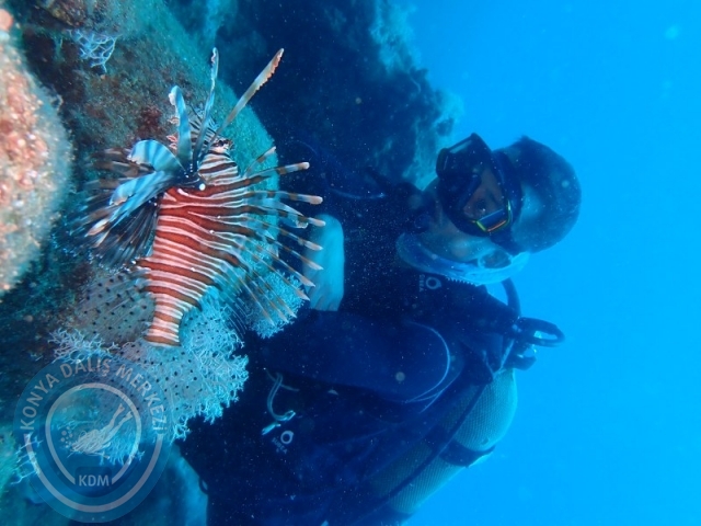 28-29 Haziran ALANYA