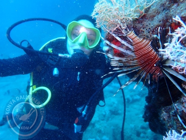 28-29 Haziran ALANYA