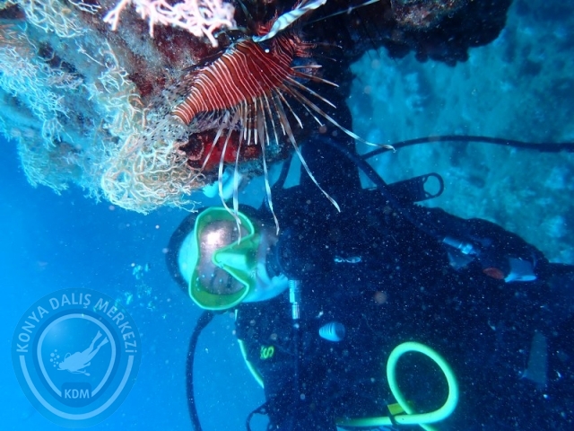 28-29 Haziran ALANYA