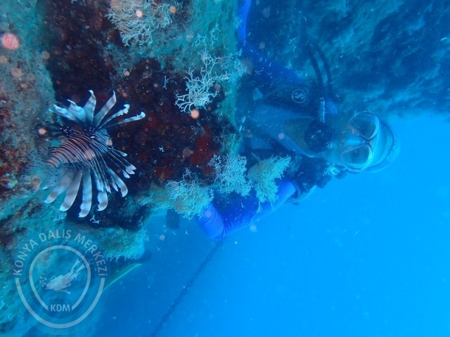 28-29 Haziran ALANYA