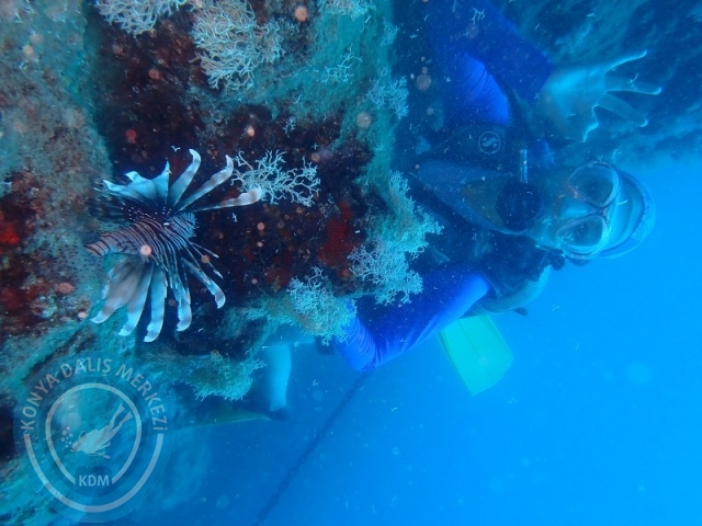 28-29 Haziran ALANYA