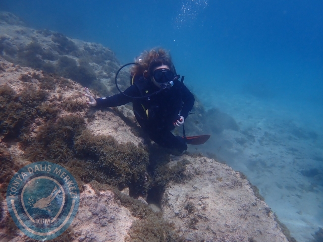 28-29 Mayıs Kaş