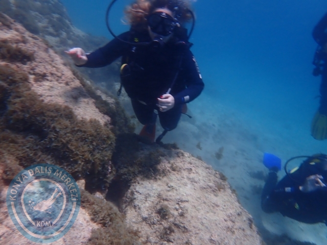 28-29 Mayıs Kaş