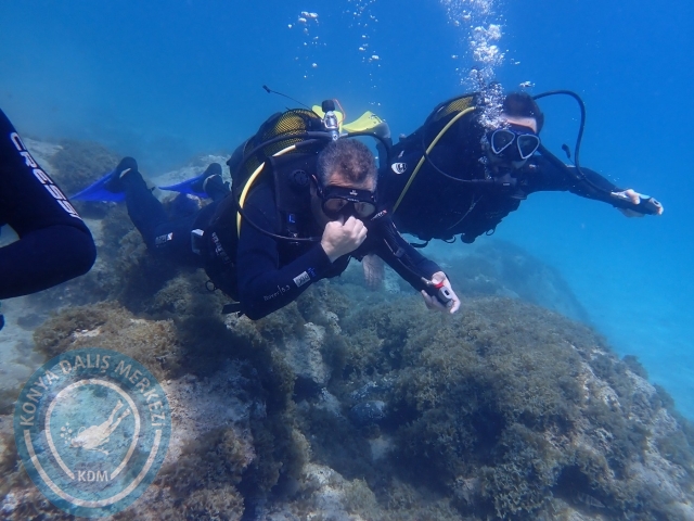 28-29 Mayıs Kaş