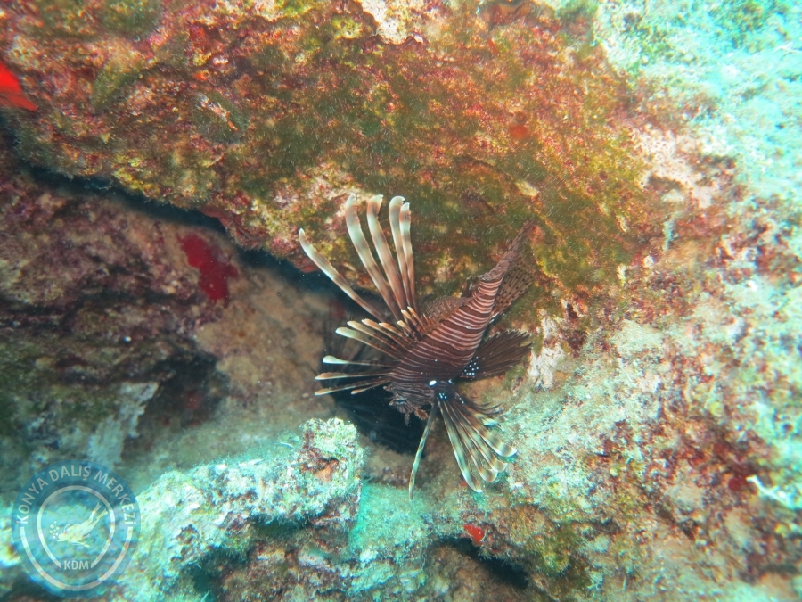 28-29 Temmuz KAŞ