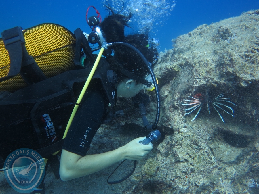 28-29 Temmuz KAŞ