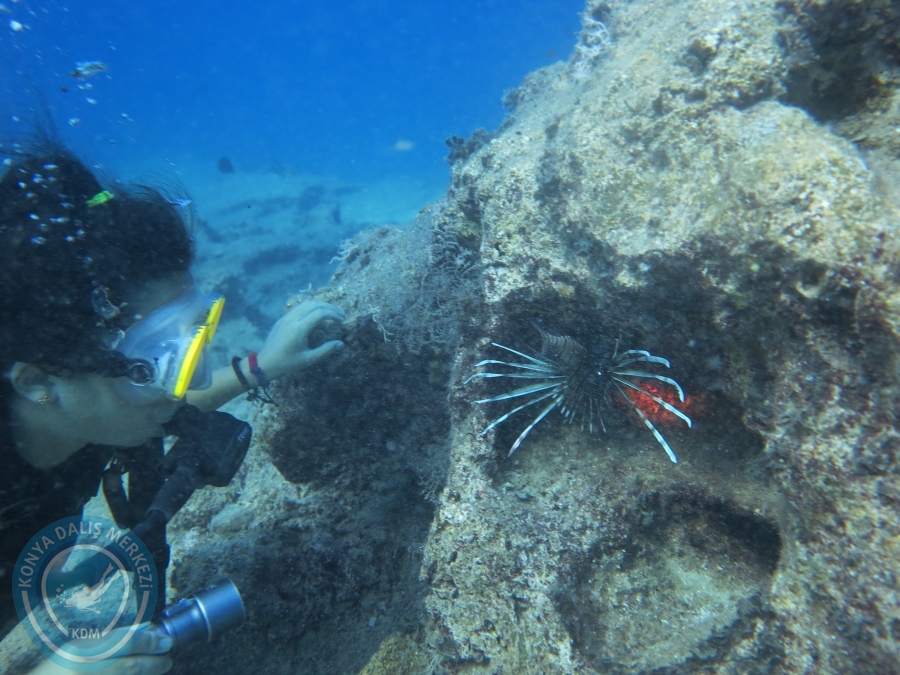 28-29 Temmuz KAŞ