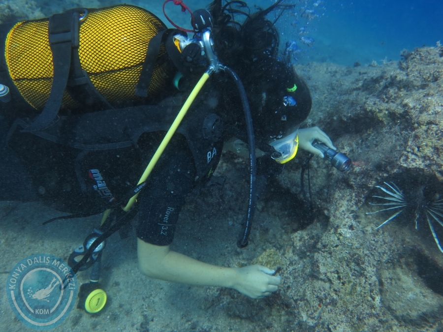 28-29 Temmuz KAŞ