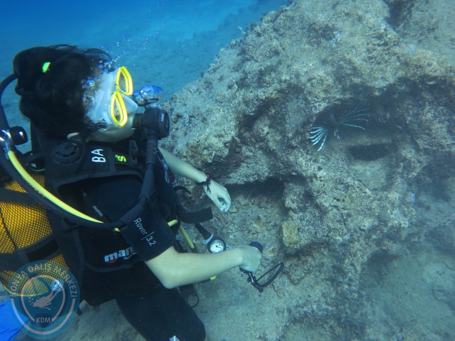 28-29 Temmuz KAŞ