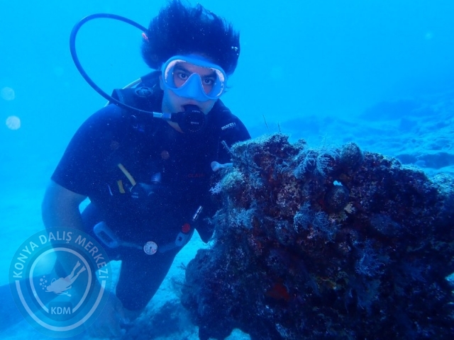 29-30 Ağustos KAŞ