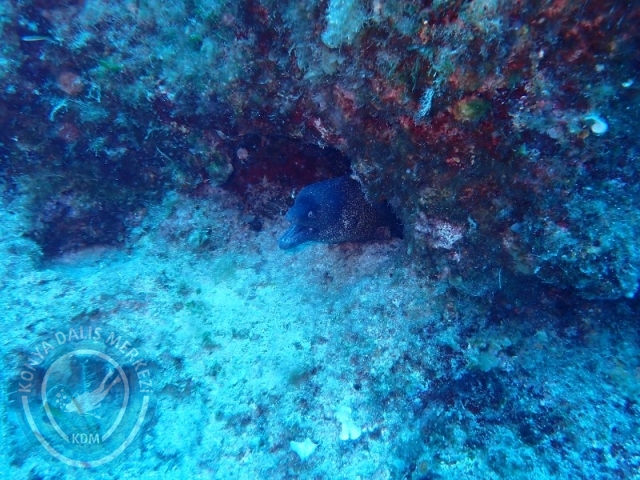 29-30 Haziran Karaburun