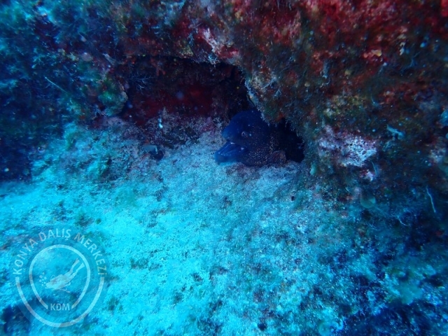 29-30 Haziran Karaburun