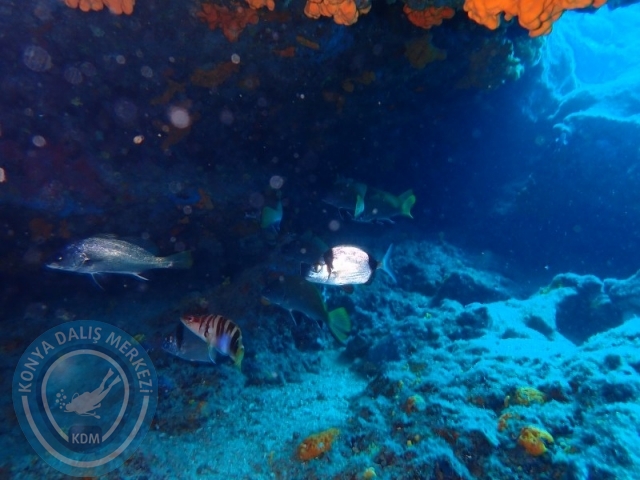 29-30 Haziran Karaburun