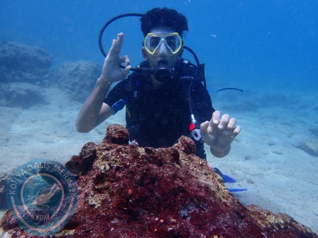 30-31 Temmuz Kaş
