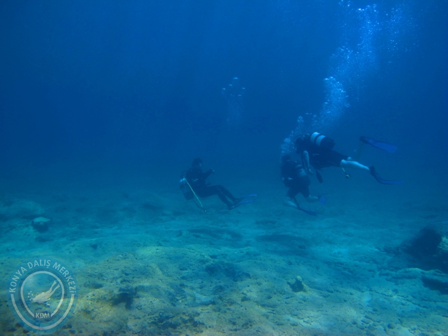 5-6 Temmuz 2014 Dalyan Dalışı