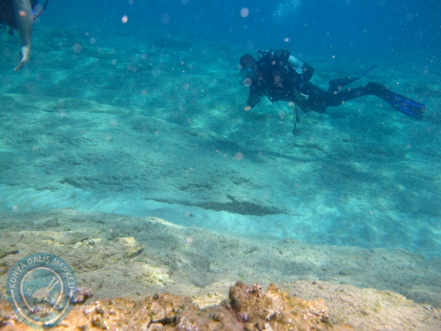 5-6 Temmuz 2014 Dalyan Dalışı