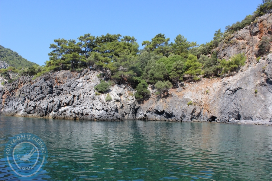 8-9 Ağustos Sarıgerme
