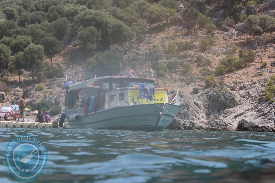 8-9 Ağustos Sarıgerme